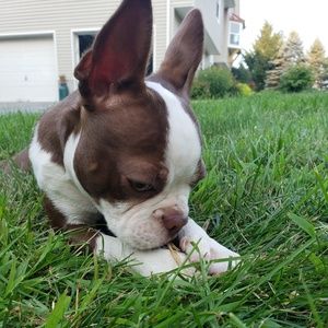 Meet your Posher, Michael